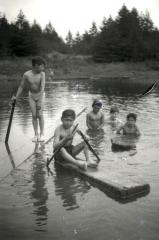 Swim