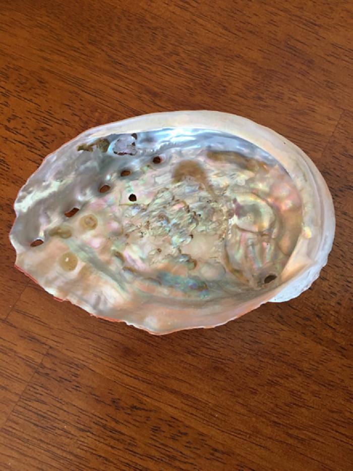 Shell's Inside (Abalone, Mother of Pearl)