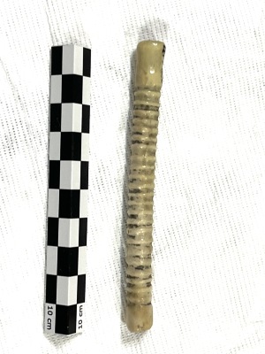 Ivory tube