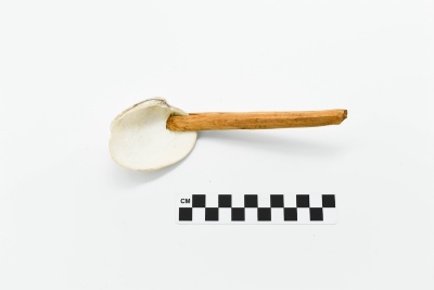 Clam shell spoon