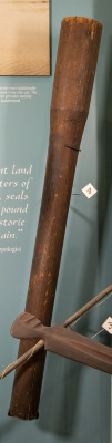 Quiver