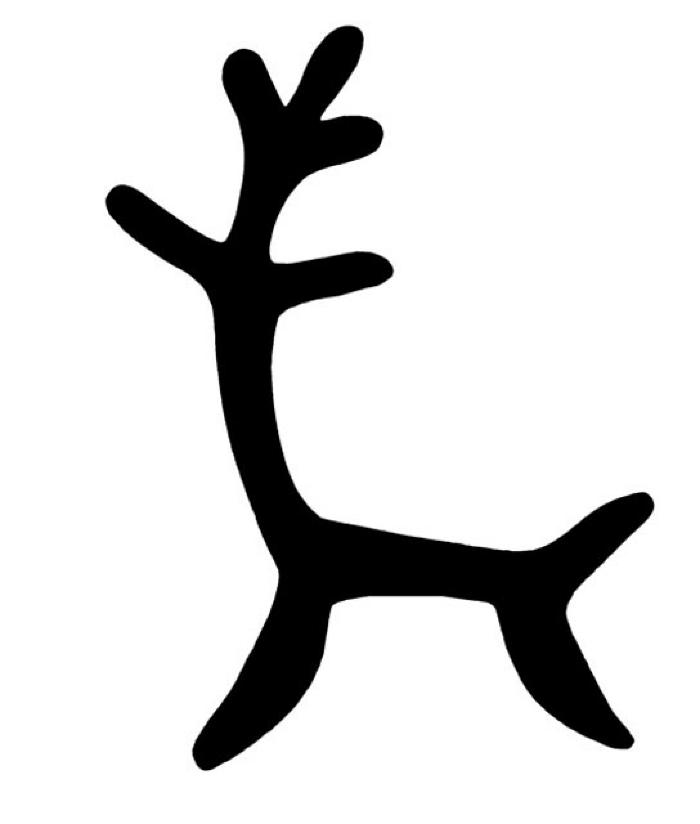 Caribou, Reindeer