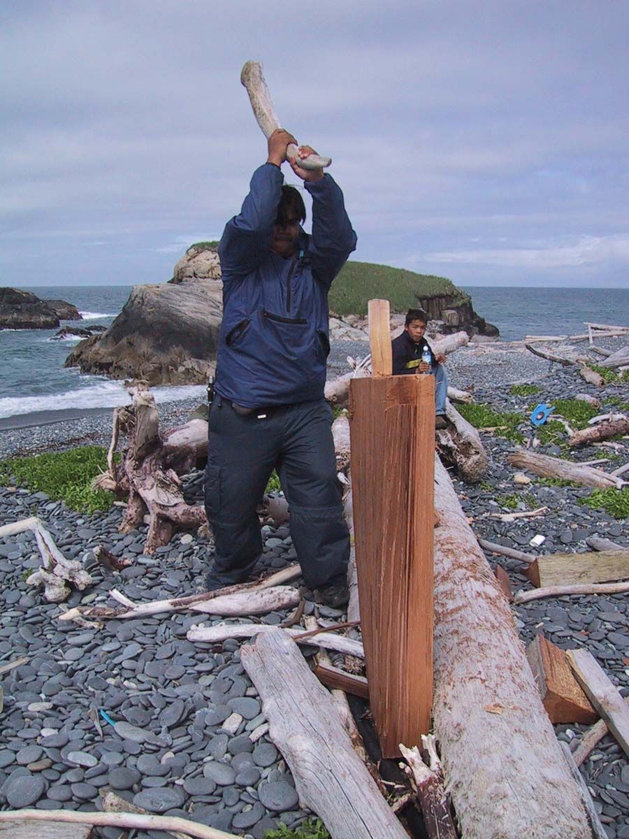 Man cutting cedar for firewood